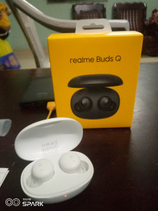 Realme q buds flipkart cheap