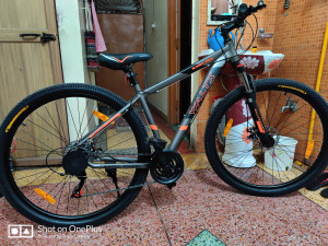 Cosmic crux 29 best sale price