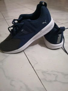 Puma nrgy asteroid review 2025