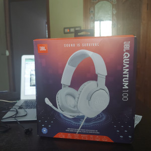 Jbl quantum 100 flipkart sale