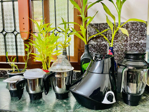 Butterfly Rapid 4 Jar 750 Watts Juicer Mixer Grinder Reviews