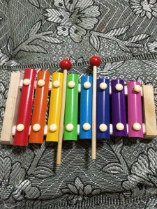 Xylophone flipkart shop