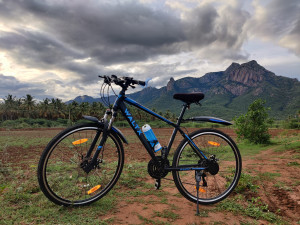 Waltx trak 4 cycle on sale