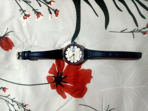 Fastrack 6166sl01 top
