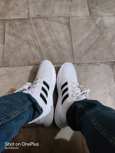 Adidas Questar Flow Nxt Running Shoes Men Reviews Latest Review