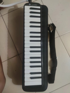 Swan 37 Key Melodica Case Black Reviews Latest Review of Swan 37