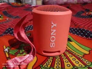 Sony  Review: Sony SRS-XB13 is good value for money, given its size, sound  and practical design - Telegraph India