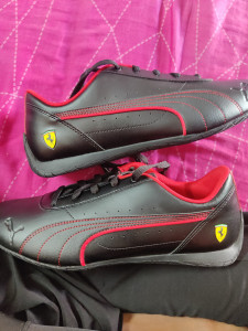 Puma Ferrari Neo Cat Sneakers Men Reviews Latest Review of Puma