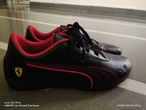 Puma bridger cat review hot sale