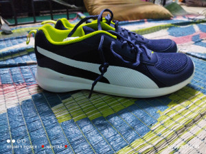 Puma Zenith Idp Running Shoes Men Reviews Latest Review of Puma