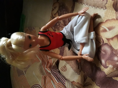 Generic Barbie Made to Move The Ultimate Posable Martial Artist