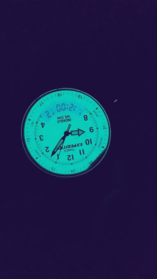 Timex hotsell expedition flipkart