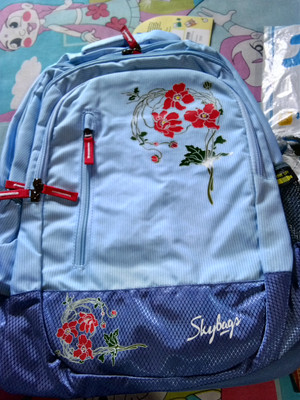 SKYBAGS Bingo plus 06 Blue 36 L Laptop Backpack Blue Price in India Flipkart