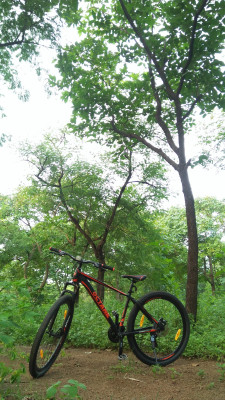 Hero octane caspian 29t outlet