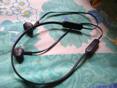 Jbl t205bt hotsell flipkart