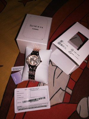 Casio sheen sx177 top