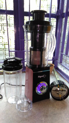 Pigeon sapphire juicer online mixer grinder