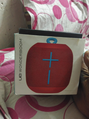 Ue wonderboom flipkart 2025
