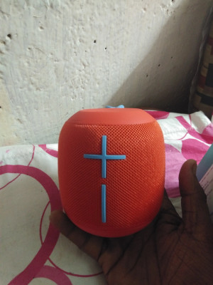 Ue wonderboom 2024 flipkart