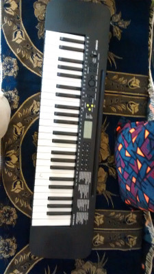 Casio ctk shop 245 keyboard price