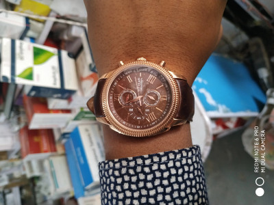 Titan 1489wl02 store