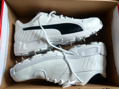 Puma evospeed 18.1 vk store edition spike cricket shoes