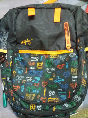 SKYBAGS Figo Plus 07 Black 34 L Backpack Black Price in India