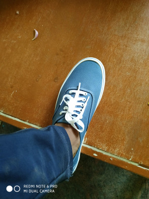 VANS Authentic SS19 Sneakers For Men Buy Blue Color VANS