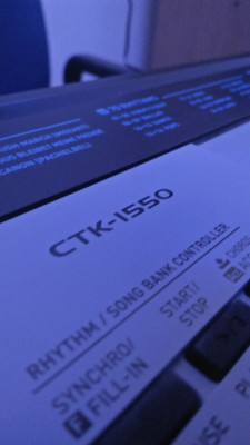 CASIO CTK 1550 KS41 Digital Arranger Keyboard Price in India Buy
