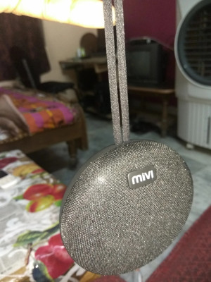 Mivi sales roam flipkart