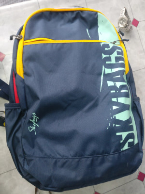 SKYBAGS Skater 06 With Rain Cover 30 L Laptop Backpack Navy Blue Price in India Flipkart