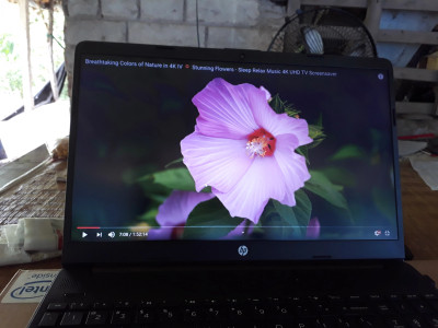 HP 15s Intel Core i3 10th Gen 1005G1 4 GB 1 TB HDD 256 GB SSD