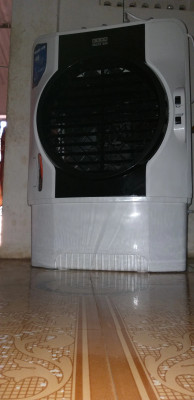 USHA 50 L Desert Air Cooler Price in India Buy USHA 50 L Desert