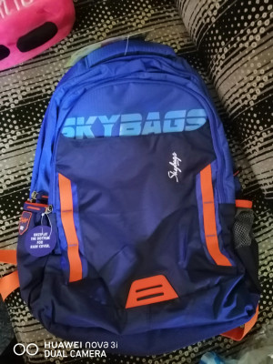 SKYBAGS Figo Extra 02 Grey 36 L Backpack Blue Price in India