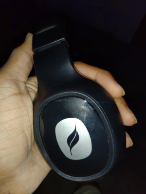 Leaf Ear Bass 2 Wireless with 15 Hours Battery Life and Deep Bass