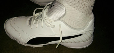 PUMA evoSPEED one8 R Cricket Shoe For Men Buy PUMA evoSPEED
