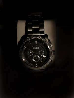 Fossil fs 4573 store