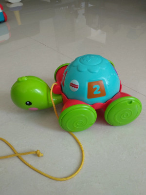 Fisher price pull along turtle top