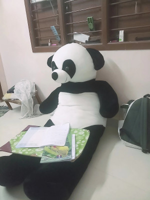 6 feet panda sales online shopping