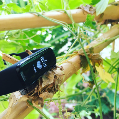 SAMSUNG Galaxy Fit e Smart Band Price in India Buy SAMSUNG