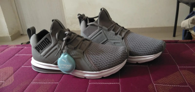 Enzo eng mesh on sale