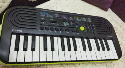 CASIO SA 46 KM13 Digital Portable Keyboard Price in India Buy