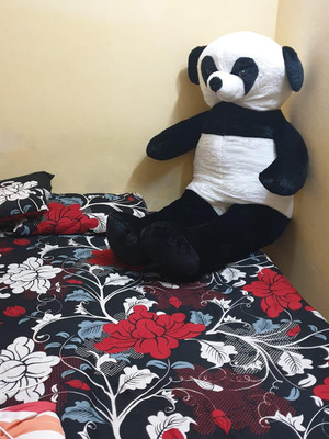 AVS 6 Feet Stuffed Spongy Hugable Imported Panda Teddy Bear Super