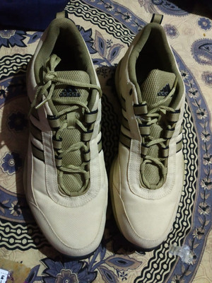 Adidas shoes canteen price 2025