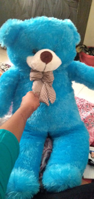Ok google hot sale teddy bear