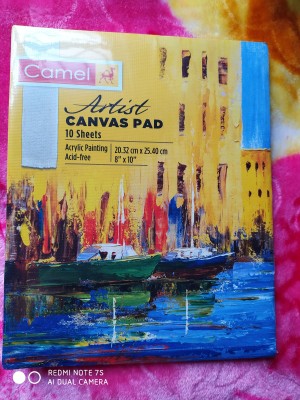 Buy Camel Canvas Pads Individual pad with 10 sheets Online in India