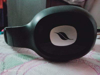 Leaf bass sales 2 flipkart