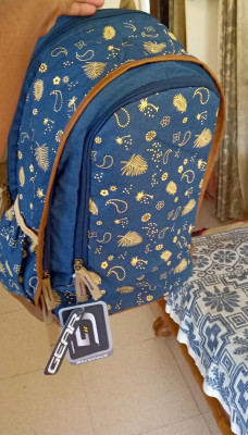 Gear 26 ltrs navy deals blue and beige casual backpack