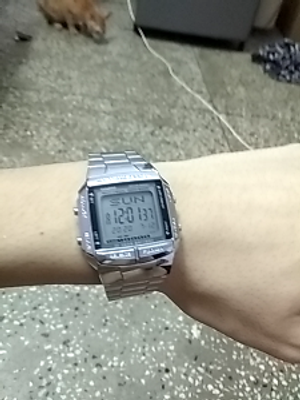 CASIO DB 360 1DF Vintage DB 360 1DF Digital Watch For Men
