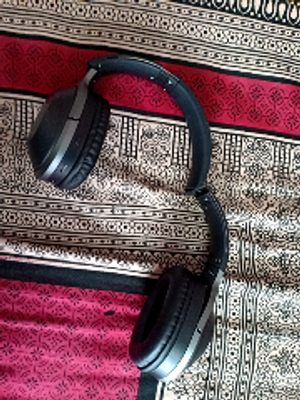 Zebronics zeb zoom hotsell headphones